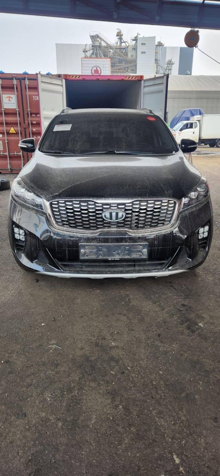 Carify Korea car delivery photo
