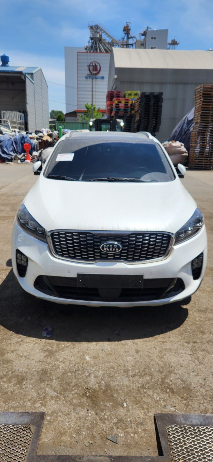 Carify Korea car delivery photo