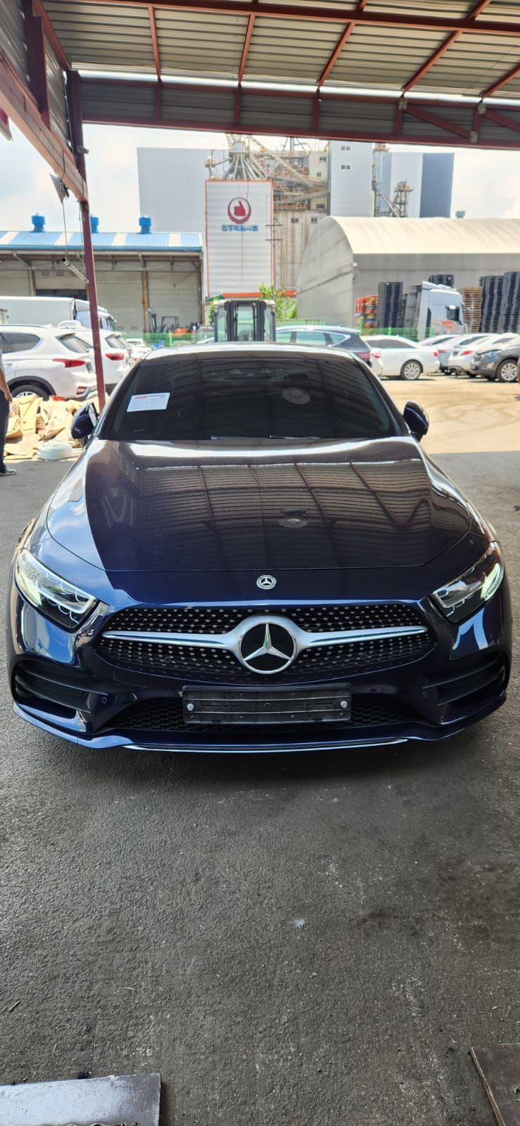 Carify Korea car delivery photo